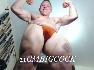 21CMBIGCOCK