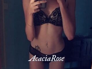 AcaciaRose
