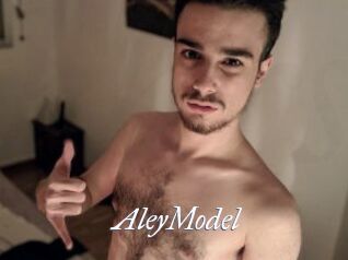 AleyModel