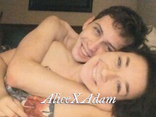 Alice_X_Adam