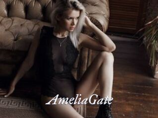 AmeliaGate