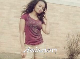 Amina2017