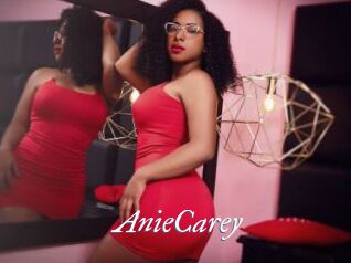 AnieCarey