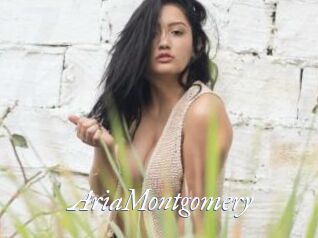 AriaMontgomery