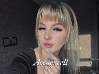 Accaexcell