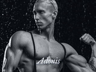 Adonis