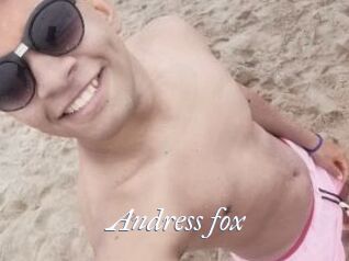 Andress_fox