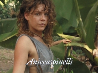 Aniccaspinelli