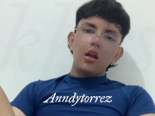 Anndytorrez