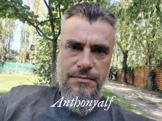 Anthonyalf