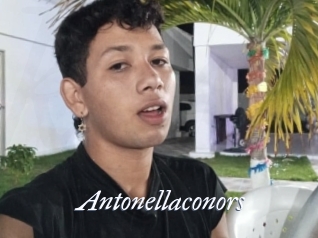 Antonellaconors