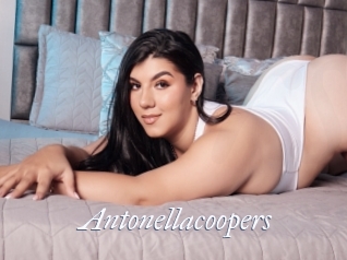 Antonellacoopers