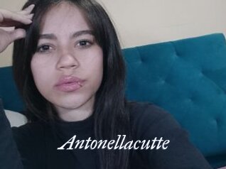 Antonellacutte