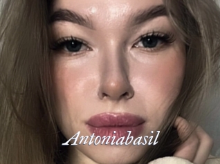 Antoniabasil