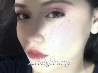 Arleighburge