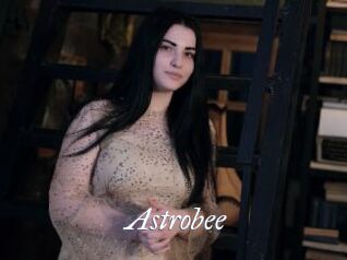 Astrobee