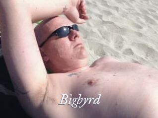 Bigbyrd