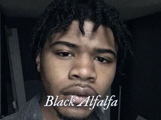 Black_Alfalfa