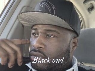 Black_owl