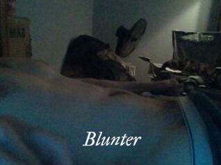 Blunter