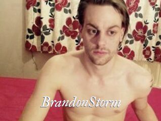 BrandonStorm