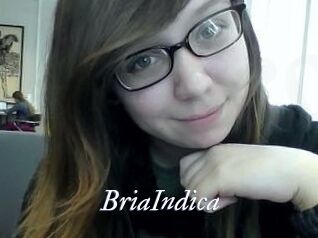 BriaIndica