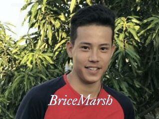 BriceMarsh