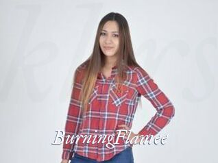 BurningFlamee