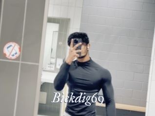 Bickdig69