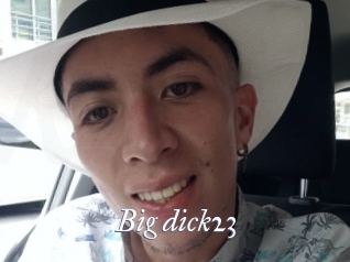 Big_dick23