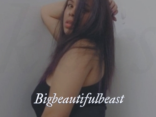 Bigbeautifulbeast