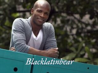Blacklatinbear