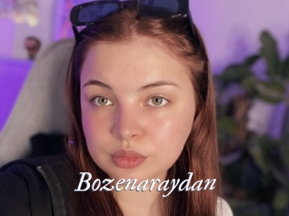 Bozenaraydan