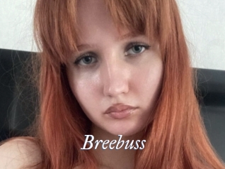 Breebuss