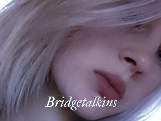 Bridgetalkins