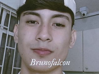 Brunofalcon