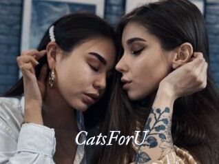 CatsForU