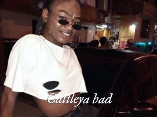 Cattleya_bad