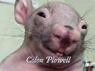 Colon_Plowell