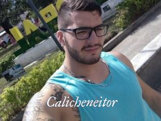 Calicheneitor