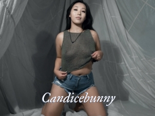 Candicebunny