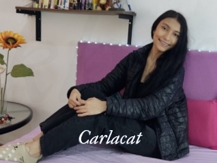 Carlacat