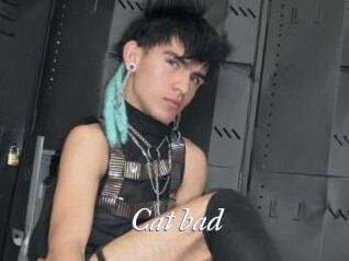 Cat_bad