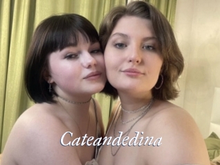 Cateandedina