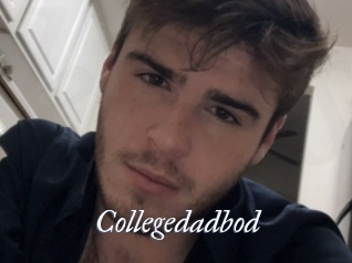 Collegedadbod