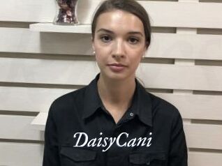 DaisyCani