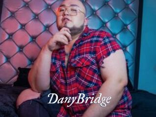 DanyBridge