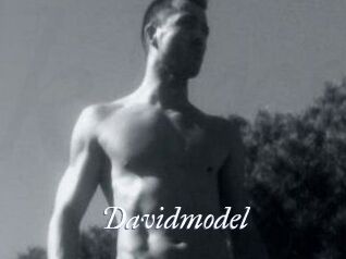 Davidmodel