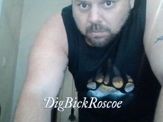 DigBickRoscoe