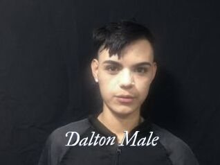 Dalton_Male